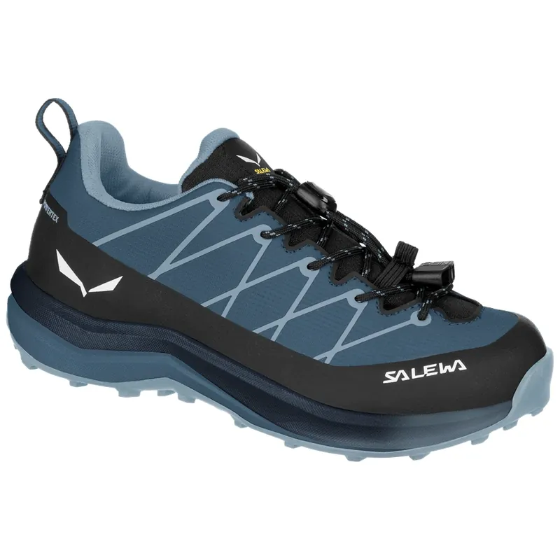 Nejlepší Volba Salewa boty Wildfire 2 PTX K Java Blue/Navy Blazer