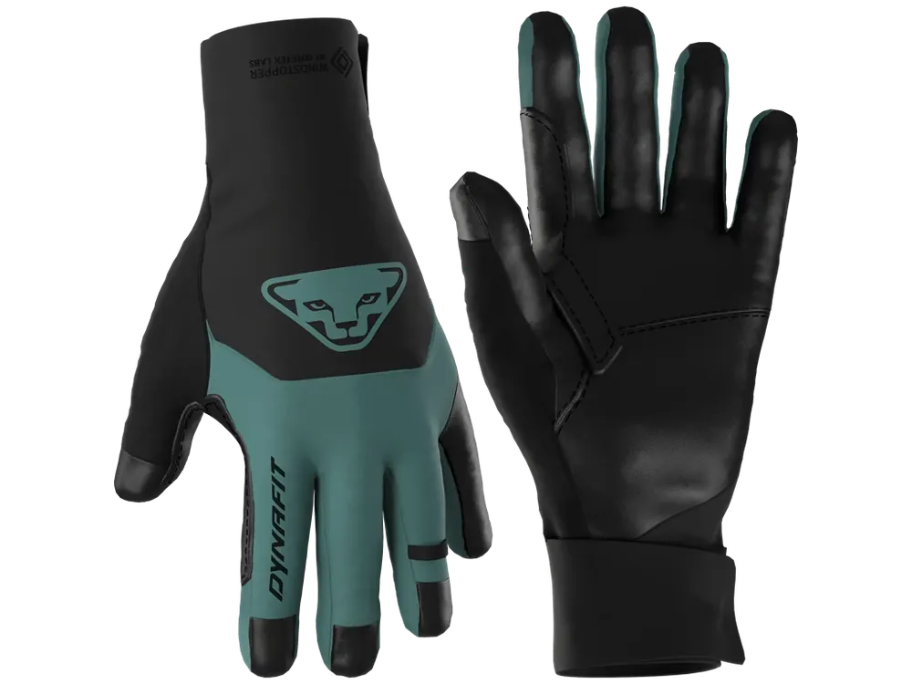Nejlepší Volba Dynafit rukavice RIDGE WINDSTOPPER GLOVES, atlantic