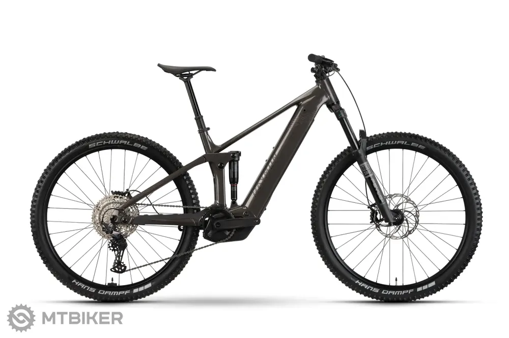 Super Cena Raymon Korak Pro 29 elektrokolo, pipegrey/black