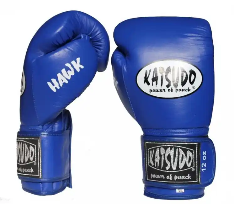Vrácení Zdarma Katsudo box rukavice Hawk, modré