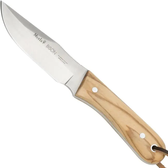Objednat Nyní MUELA Nůž s pevnou čepelí Bison Olive wood