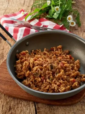 Akční Nabídka Katadyn Chutné maso s rýží a GOURMET kořením