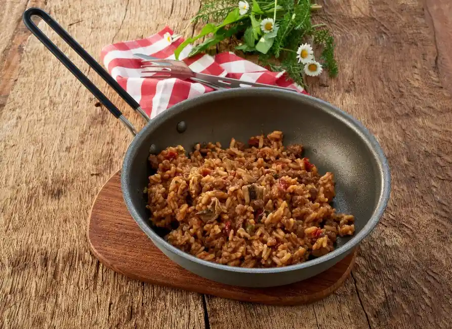 Akční Nabídka Katadyn Chutné maso s rýží a GOURMET kořením