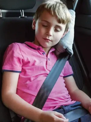 Dětský polštář do auta LittleLife Travel Cenově Výhodný