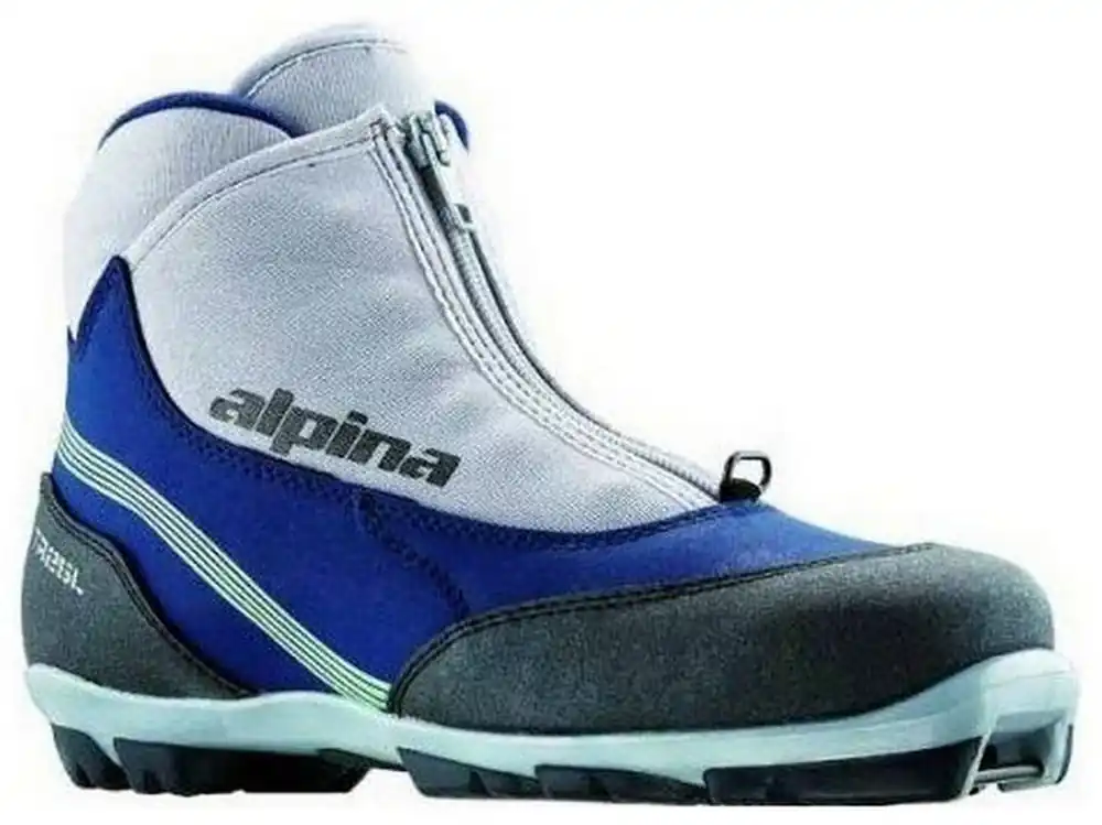 Must-Have Alpina TR25L silver/indigo