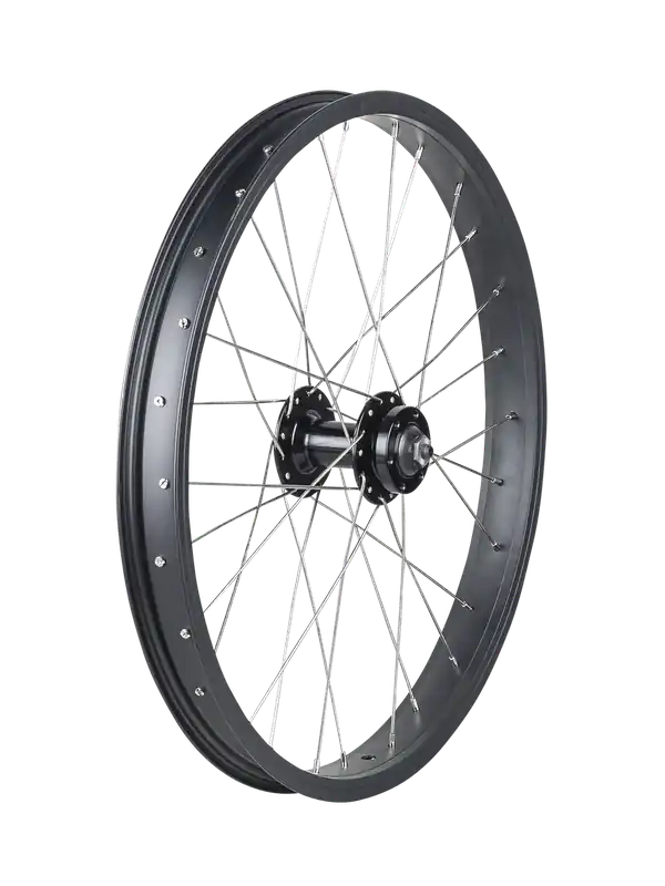 Novinka Trek Roscoe Boost 20" MTB Wheel černá