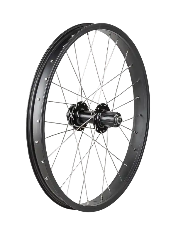 Trek Roscoe Boost 20" MTB Wheel černá Akční Nabídka