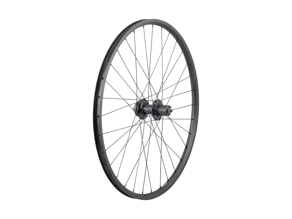 Trek Connection Schrader 26" 6-Bolt Disc MTB Wheel černá Koupit Online
