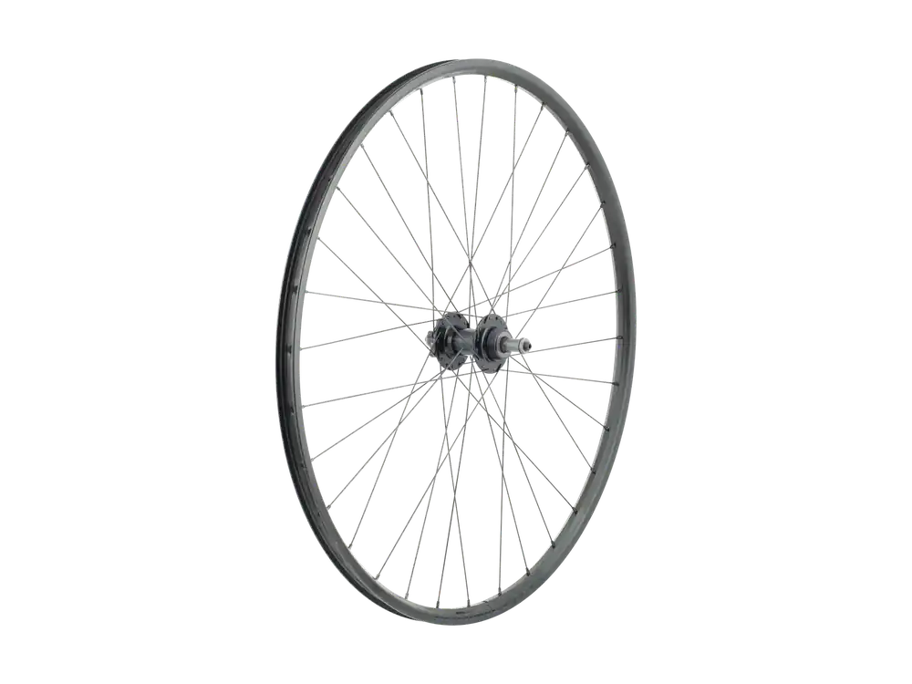 Trek Connection Schrader 29" 6-Bolt Disc MTB Wheel černá Časově Omezené